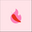 Pimienta Rosa USA logo